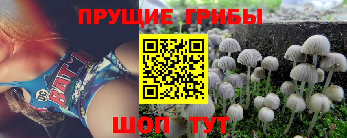 Псилоцибиновые грибы прущие грибы  Вход с VPN  Воткинск 